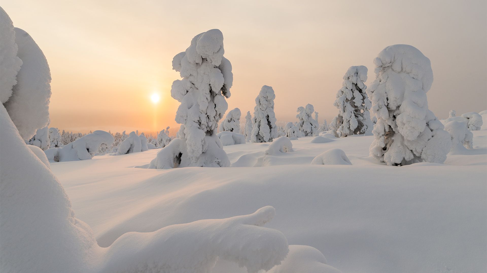 Only in Lapland