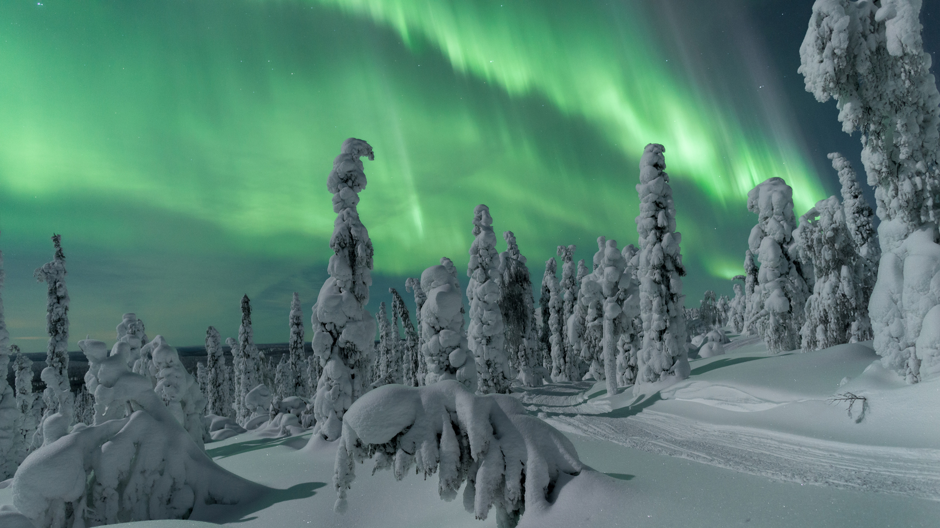 Visit Finland – Lapin osio